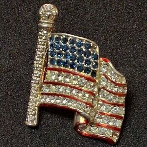 Elegant American Flag Brooch By Tonya's Creations